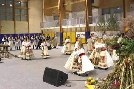 12 MEDNARODNI FOLKLORNI FESTIVAL 19 FOTO LJUBO VUKELIČ